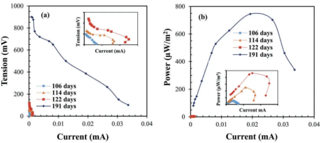 Figure 3. Polarization (a) and power (b) curves of Chlorophytum-MFC at days: 106, 114, 122 and 191.