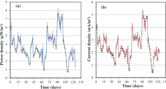 Figure 4. Power (a) and current (b) densities generation of Chlorophytum-MFC at 66 K Ω .