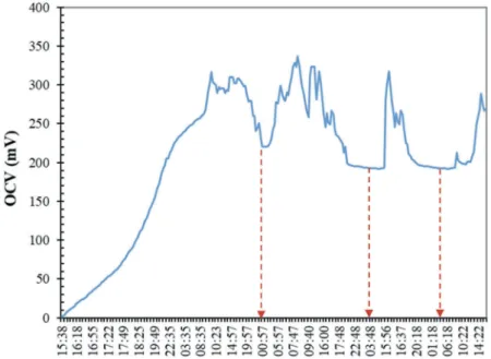 Figure 5. OCV fluctuations according to the day/night cycle of three successive days.