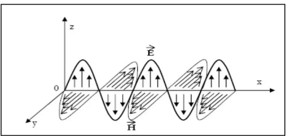 Figure n°1: Représentation des champs constitués d’une onde électromagnétique (13).    
