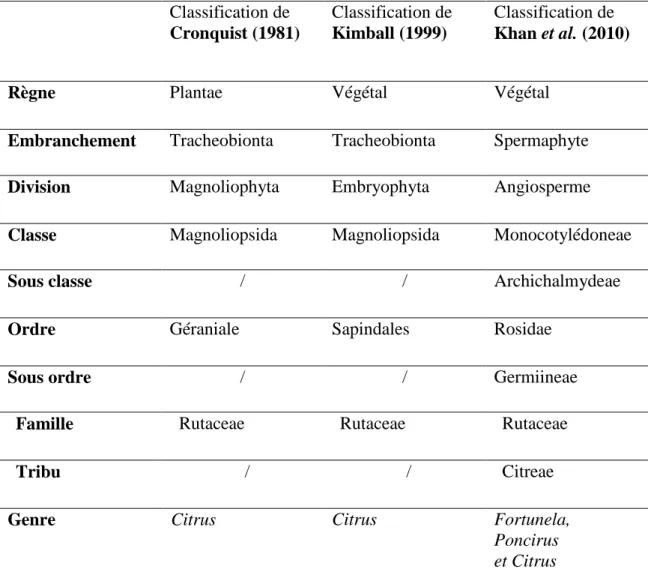 Tableau II: Classification botanique des agrumes (Cronquist, 1981; Khan et al., 2010; 