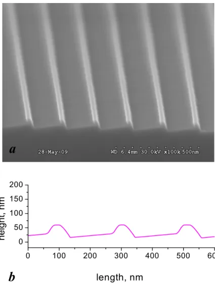 Fig. 1. A SEM image (a) and an SPM profile (b) of the 200 nm grating after KOH etch and nitride mask removal