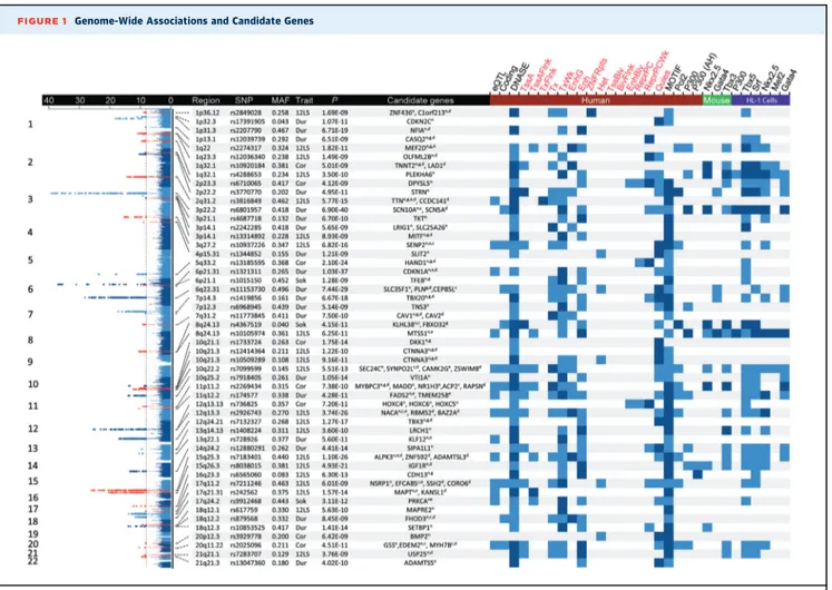 FIGURE 1 Genome-Wide Associations and Candidate Genes