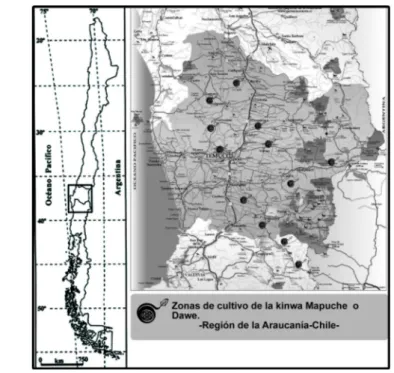 Figura N° 1: Mapa de ubicación de localidades donde se ha reincorporado el cultivo. 