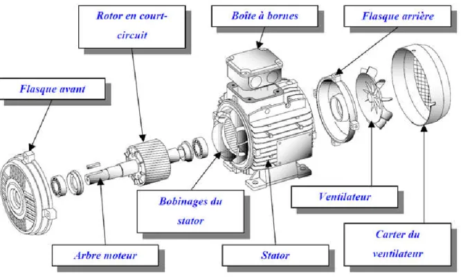 Figure I.6 : Schéma désignant les éléments constituant  une machine asynchrone  [8] .  I.4 Principe de fonctionnement d’une machine asynchrone  