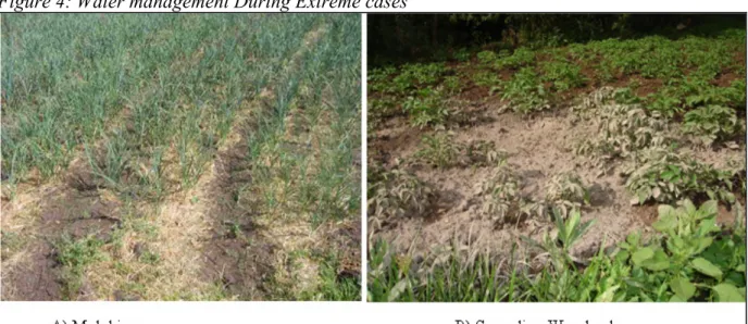 Figure 4: Water management During Extreme cases 