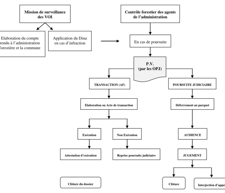 Figure 1 : Flux des informations sur le contrôle forestier décentralisé  