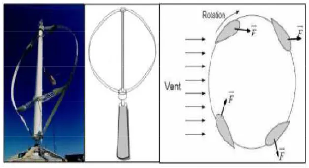 Fig. I.4 : Eolienne type Darrieux [17]. 