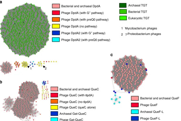 Fig. 4 Protein similarity networks. Source data are provided as a Source Data ﬁ le. a DpdA/Tgt protein network, each node is a group of proteins identical at 90%, and each edge presents an alignment score >15