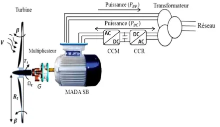 Figure II. 1 : Système éolien à vitesse variable basé sur une MADA Sans Balais [03].