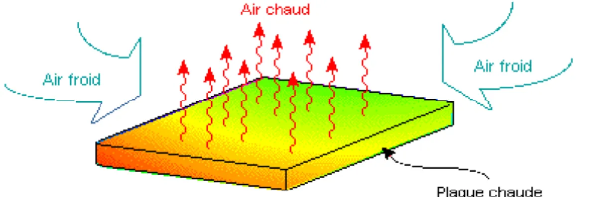 Figure II.3 Schéma du transfert de chaleur convectif 