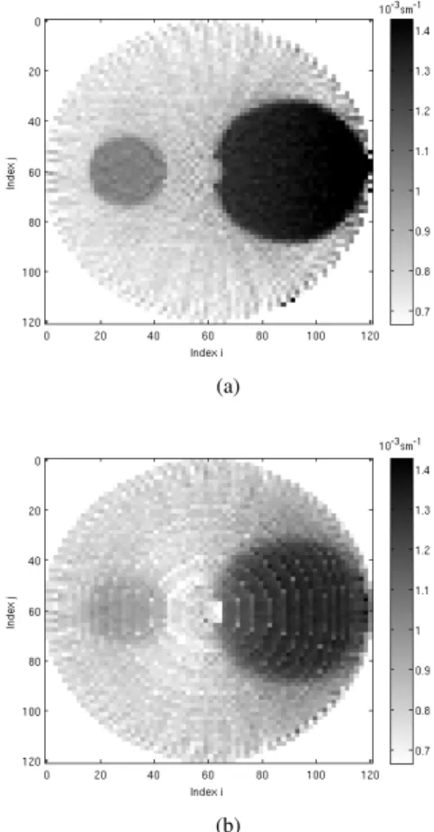 Figure 4 shows the reconstructed object associated to each inversion algorithm. The reconstructed objects are smaller with respect to the original phantom