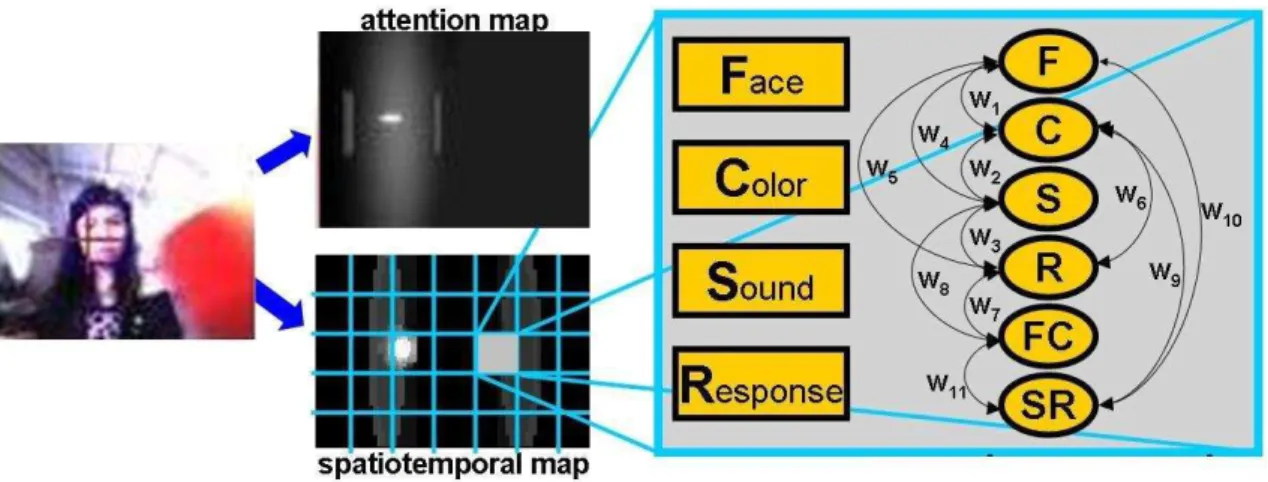 Figure 4-6: A diagram of the robot’s spatio-temporal learning map. It consists of a 2D rectangle with 70x52 pixels