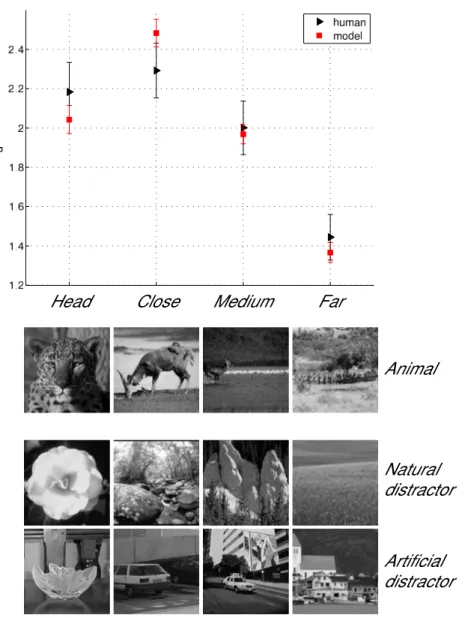 Figure 3.4: Results obtained on the four animal categories (with matching distractors) for both humans and the model.