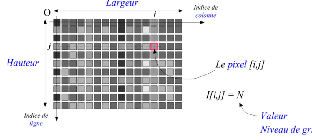 Figure I.3 : image aux niveaux de gris. 