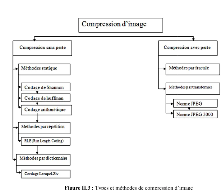 Figure II.3 : Types et méthodes de compression d’image