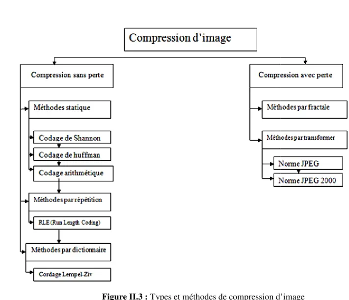 Figure II.3 : Types et méthodes de compression d’image