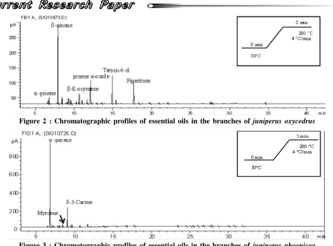 Figure  2  :  Chromatographic  profiles  of  essential  oils  in  the  branches  of  juniperus  oxycedrus