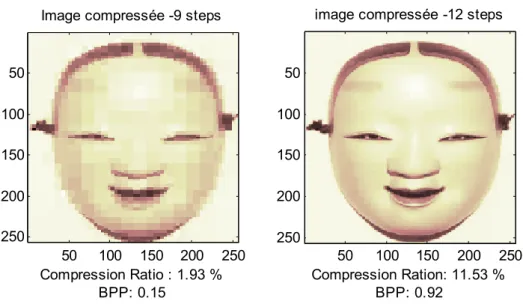 Figure  (III-8)  :  représente  une  image  compressée-9  étapes  à  CR  1.93%  et  BPP  0.15  et  une image compressée-12 étapes à CR 11.53% et BPP 0.92 