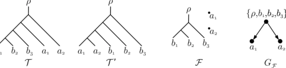 Fig. 2.1 . Two input trees T and T 0 , an agreement forest F for T and T 0 and the inheritance graph G F 