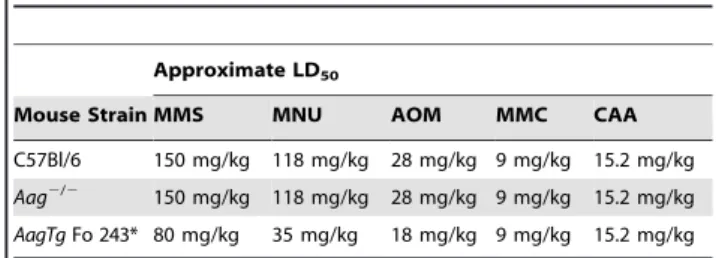 Table 2. Approximate LD 50 of Aag 2/2 and Aag transgenic mice to various genotoxic agents.