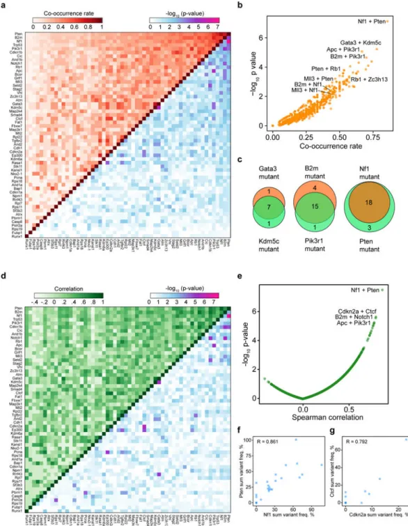 Figure 5. Co-mutation analysis uncovers synergistic gene pairs in GBM