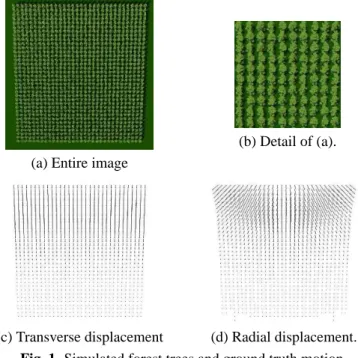 Figure 2 illustrates the results obtained from our approach (top), compared to those from Horn and Shunk (H&amp;S)  imple-mented by Barron [8, 10] (bottom)