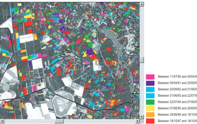 Figure 2. Annual clear cut mapping in Landes forest with Landsat TM (period 1990–1999).