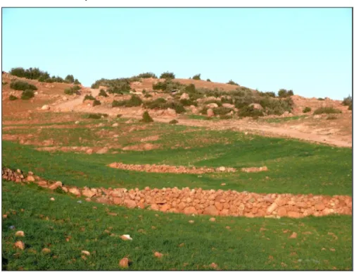 Figure 7 : Deux seuils en pierres sèches, en amont du village de Sidi Yahia ou Sâad 