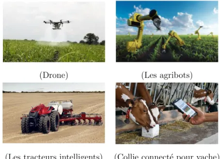 Figure 2.5 – L’internet des objets dans le domaine d’agriculture Intelligente .