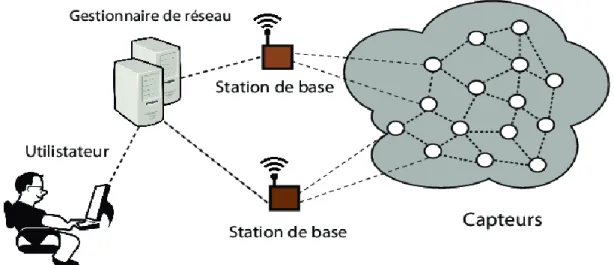 Figure II-3 Architecteur d’un réseau de capteurs [8]