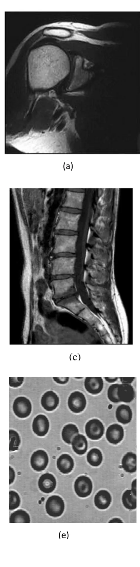 Fig. IV.1. Images tests 