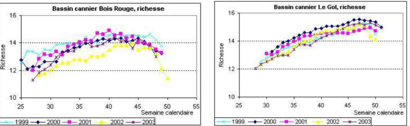 Figure 3. Evolution de la richesse saccharine de 1999 à 2003   pour les deux bassins cannier de l’île de La Réunion, CTICS