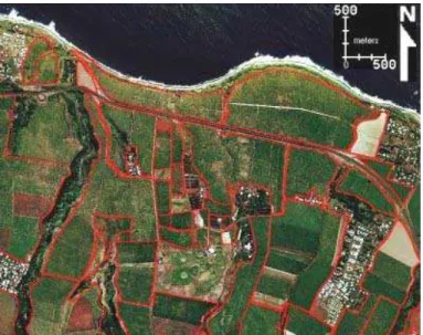 Figure 10. Photographie aérienne de la BD_Topo de l’IGN avec le parcellaire cannier  (îlots exploitants) de la base de données de la D.A.F.