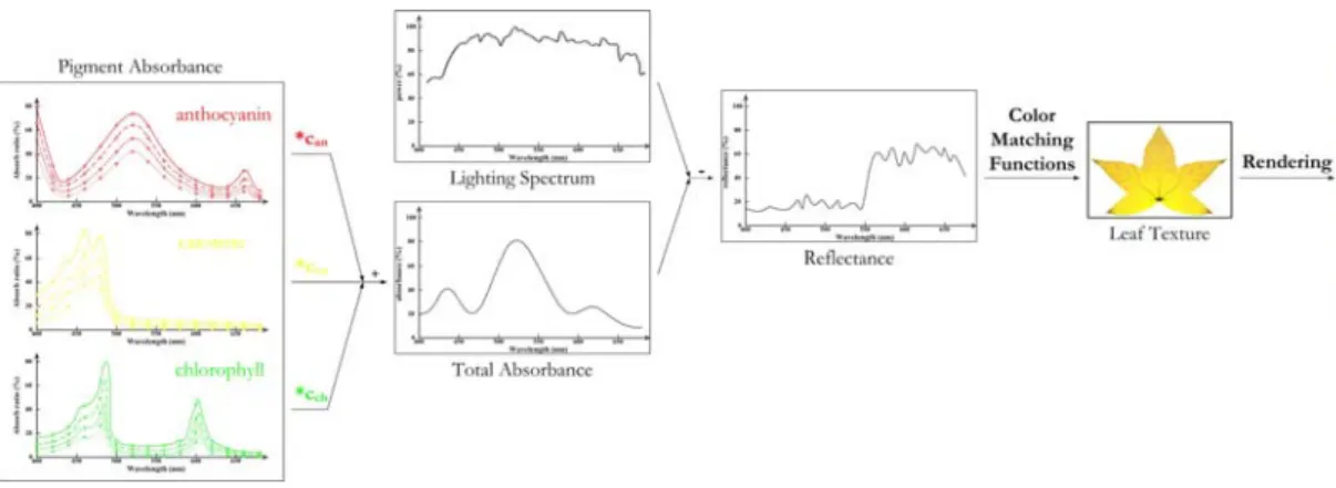 Figure 5. The illustration of leaf texture acquisition method.