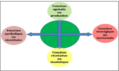 Figure 1. Diverses fonctions des oasis. 