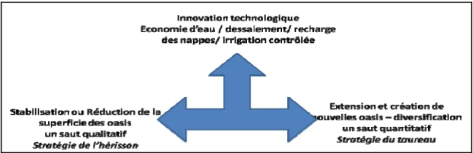 Figure 2. Quelle stratégie pour un développement durable des oasis ? 