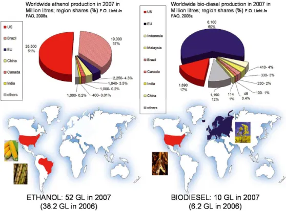 Figure 3. Worldwide ethanol and biodiesel productions in 2007 in Million litres; region shares (%)