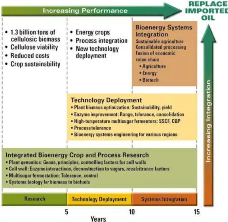 Figure 4. Phased development of bioenergy systems over the next 5 to 15 years (US DOE, 2006a)