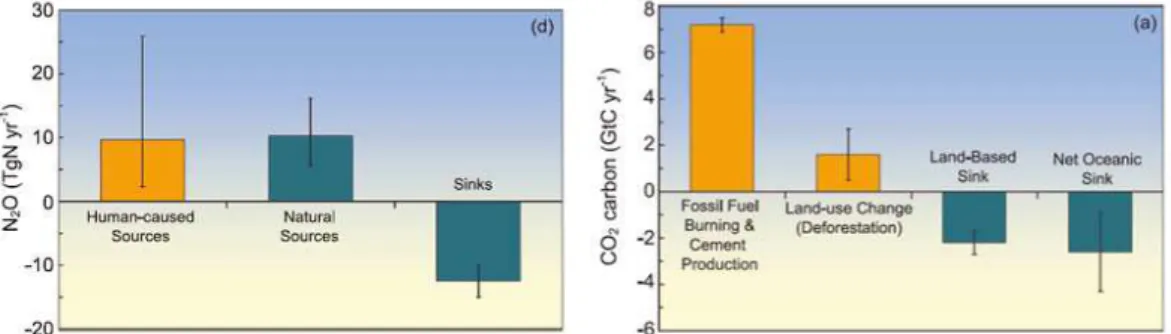 Figure 12. Global budgets of N 2 O (14) and CO 2 (15) (Denman et al., 2007).