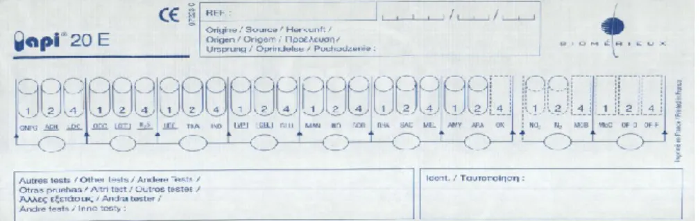 Figure n° 05 : Fiche de résultat d’API 20 E 