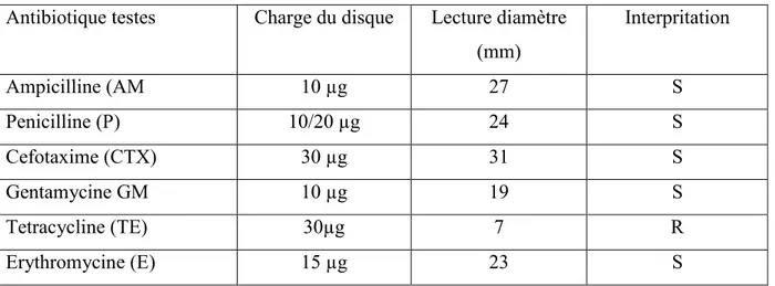 Tableau  08: sensibilité et résistance des streptocoques aux antibiotiques Antibiotique testes  Charge du disque  Lecture diamètre 