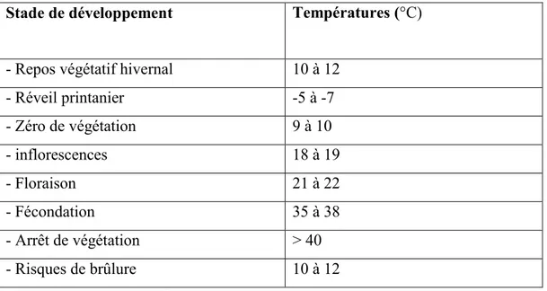 Tableau  n°2:  Critères  thermiques  pour  l’olivier  (SEBAI,  2007)  in  (MOURIDA,  2014)