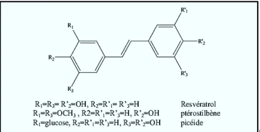 Figure I-5 : Quelques exemples des structures chimiques des stilbènes [7]. 