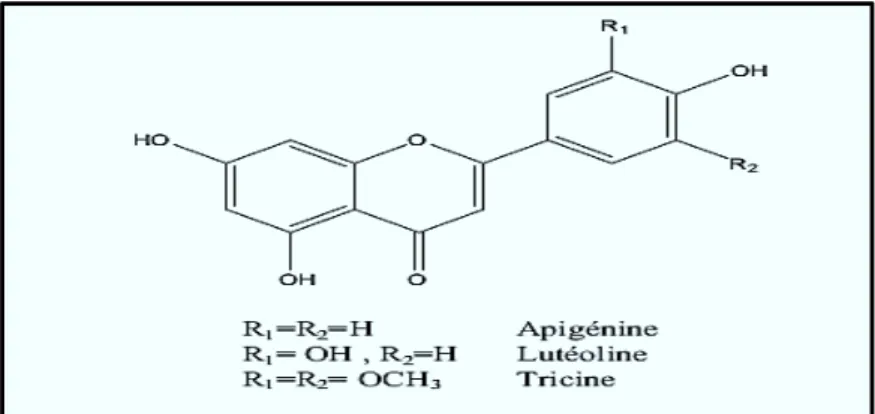 Figure I-10 : Des exemples des structures chimiques des flavones [7]. 