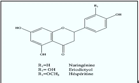 Figure I-12 : Des exemples des structures chimiques des flavanones [7]. 