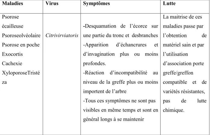 Tableau 6:les principales maladies virales d’agrumes (ACTA, 2008). 
