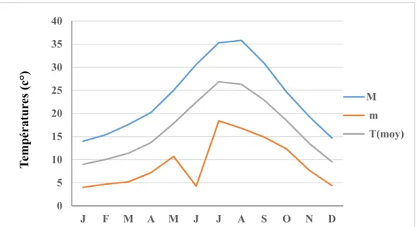 Figure 10 : Les températures moyennes mensuelles dans la région de Bouira (1981-2000)