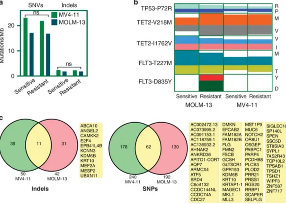 Figure 2. Sorafenib-resistant cell lines carry novel mutations. Genomic DNA from FLT3 inhibitor-sensitive and resistant MV4-11 and MOLM-13 cell lines was extracted using standard protocols