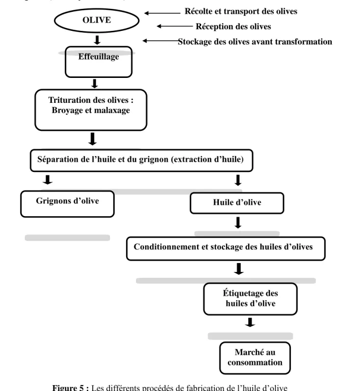 Figure 5 : Les différents procédés de fabrication de l’huile d’olive Effeuillage 